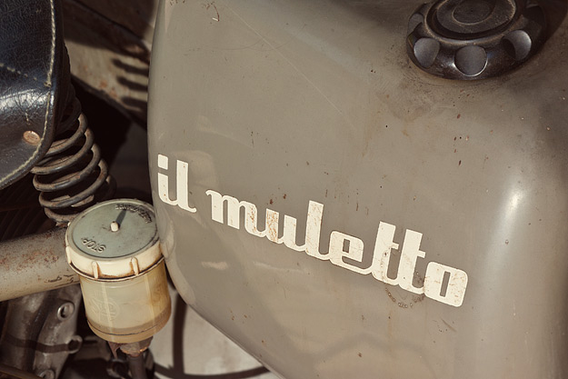 Ducati Muletto