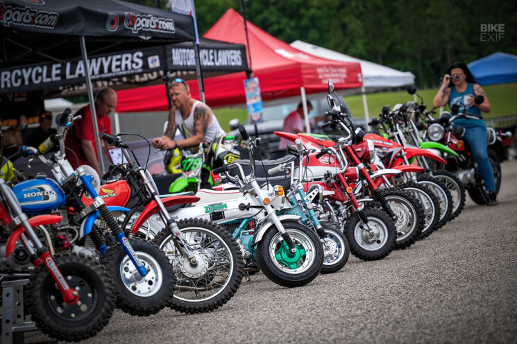 A row of minibikes parked in the paddock.