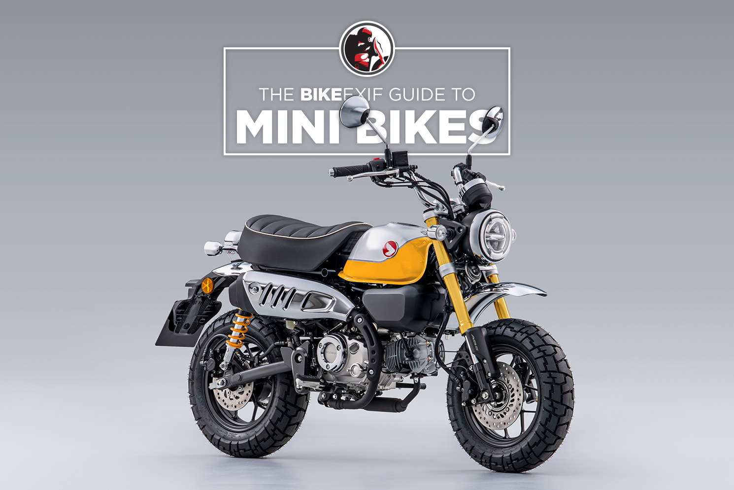 Best Motorcycles for Smaller Riders: Seat Heights Under 30 Inches