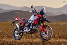 2024 Ducati DesertX Rally adventure bike