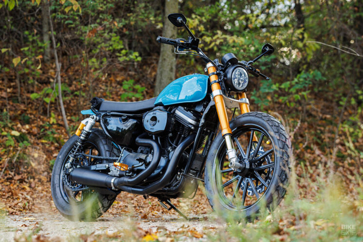 Custom Harley XLH 883 by David Zemla