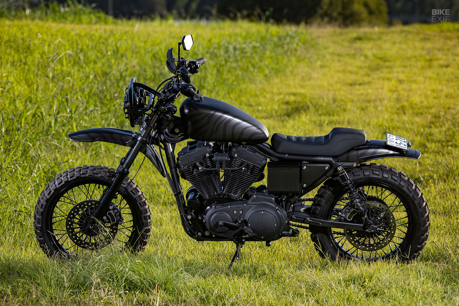 Brutester: An animalistic Harley Sportster 883 scrambler from Japan