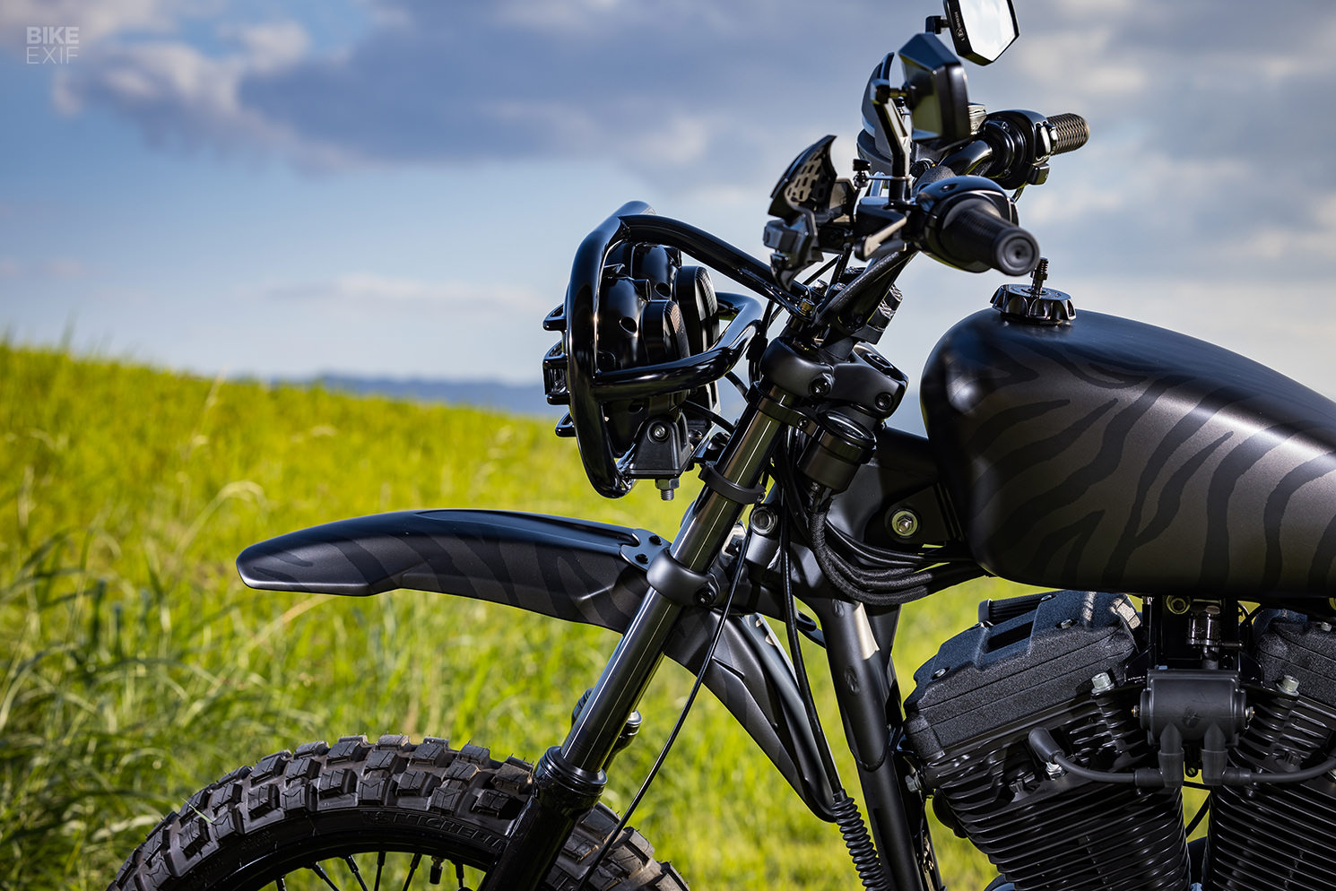 Brutester: An animalistic Harley Sportster 883 scrambler from