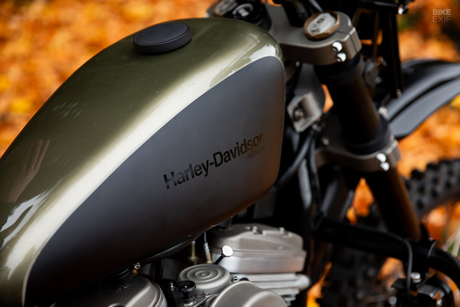 The ADVXL: Biltwell's Harley Sportster adventure bike