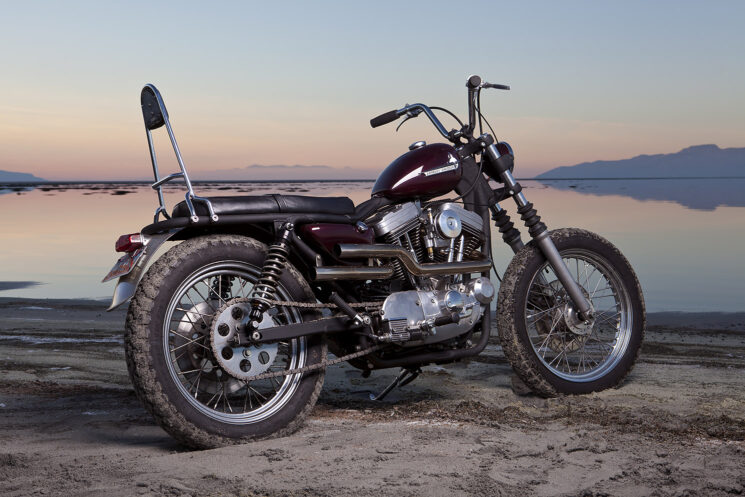 Welcome to the Club: A Modern Sportster that Taps into Hellish Roots